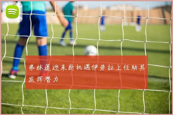 弗林蓬迎来新机遇伊劳拉上任助其发挥潜力