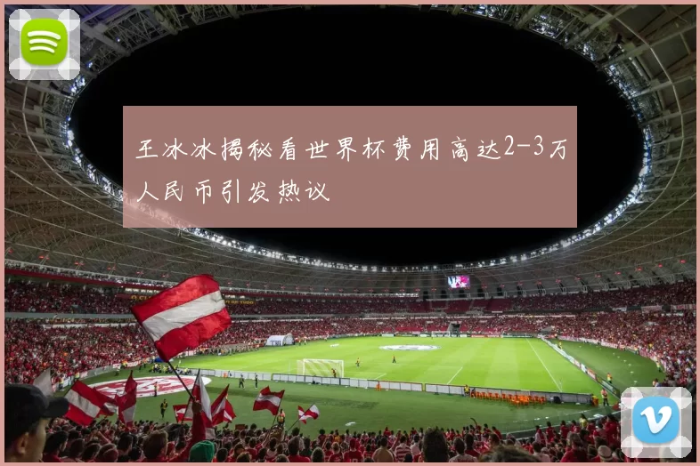 王冰冰揭秘看世界杯费用高达2-3万人民币引发热议