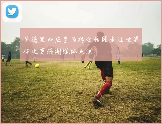 罗德里回应皇马转会传闻专注世界杯比赛感谢媒体关注